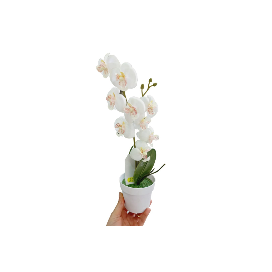 Piantina orchidea 38 cm